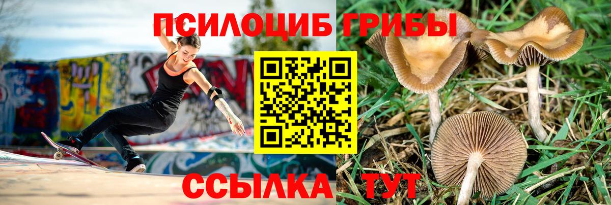 Галлюциногенные грибы MAGIC MUSHROOMS Кулебаки